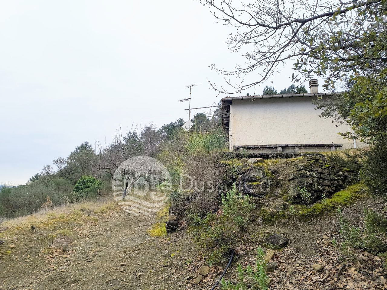 Independent house Altavia, Dolceacqua - photo 3