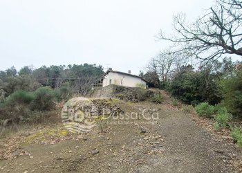 Independent house Altavia, Dolceacqua - photo 2