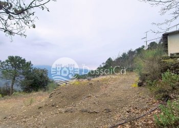 Independent house Altavia, Dolceacqua - photo 4