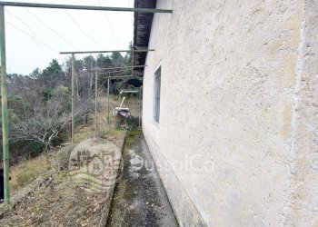 Independent house Altavia, Dolceacqua - photo 6