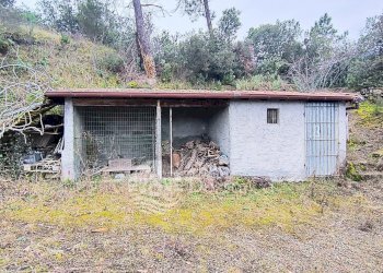 Independent house Altavia, Dolceacqua - photo 8