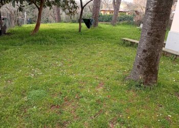 Villa -, Barbarano Romano - foto 8