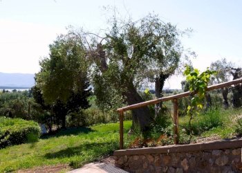 Giardino - Villa strada Statale Aurelia, Orbetello - foto 13