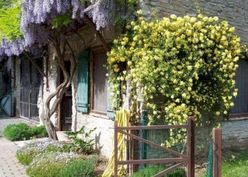 Giardino - Rustico Regione Boschi, Canelli - foto 6