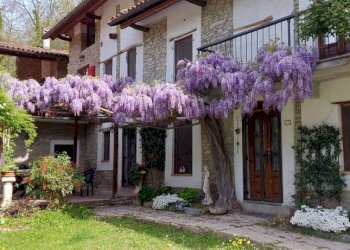 Facciata - Rustico Regione Boschi, Canelli - foto 7