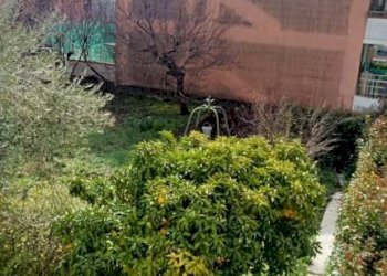 Terreno - Villa via Guglielmo Marconi, San Giorgio del Sannio - foto 47