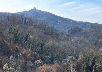 whatsapp image 2025-02-28 at 13.58.37 (2) - Portion of a house via Lunga, 23, Castiglione Torinese - photo 2