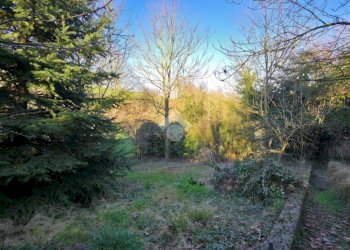 Casa semi indipendente Via Tetti Capriolo, Cinzano - foto 38