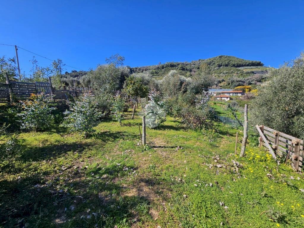 Agricultural land Via Beglini SNC, Taggia - photo 1