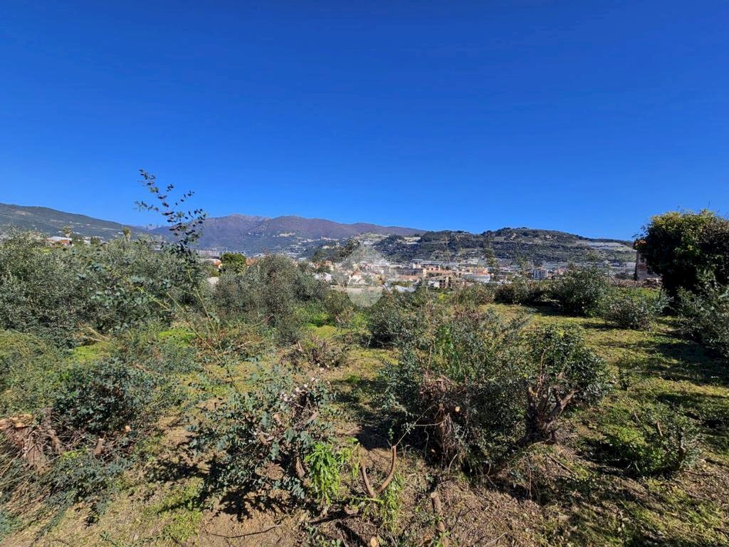 Agricultural land Via Beglini SNC, Taggia - photo 3