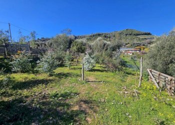 Agricultural land Via Beglini SNC, Taggia - photo 1