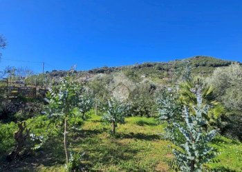 Agricultural land Via Beglini SNC, Taggia - photo 2