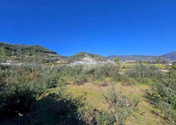 Agricultural land Via Beglini SNC, Taggia - photo 4