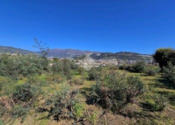Agricultural land Via Beglini SNC, Taggia - photo 3
