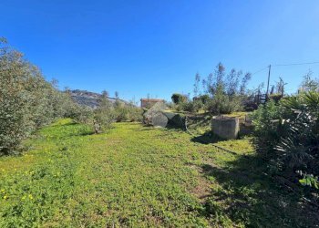 Agricultural land Via Beglini SNC, Taggia - photo 5