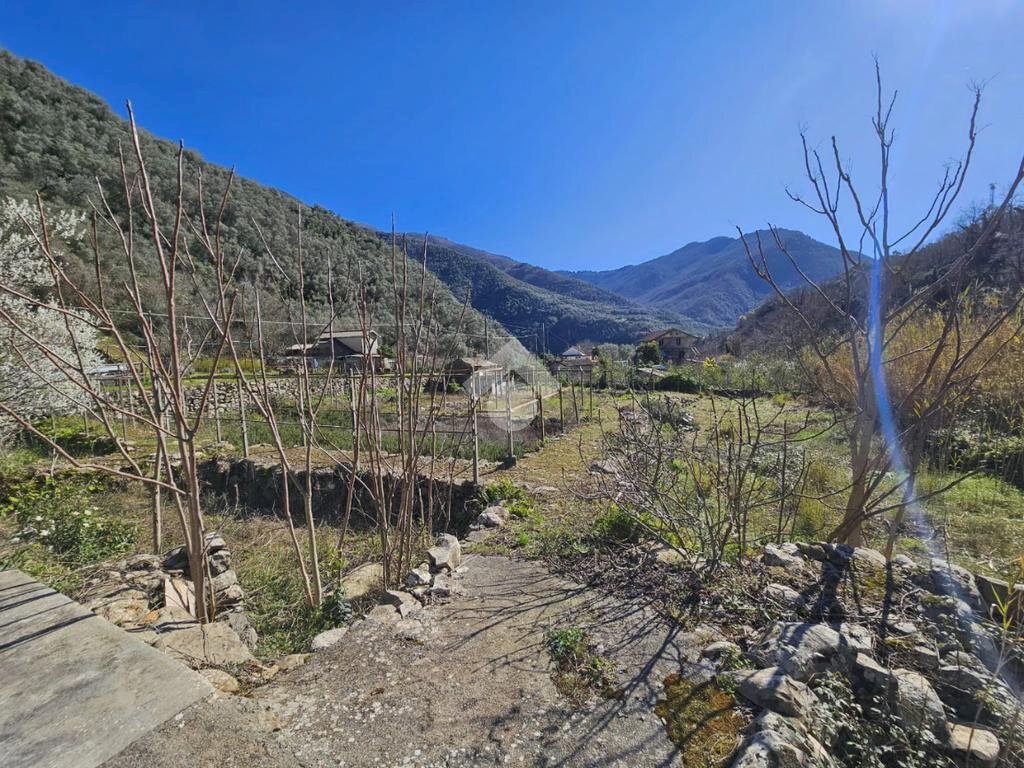 Terreno edificabile Strada Oxentina Snc, Badalucco - foto 1