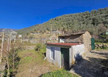 Terreno edificabile Strada Oxentina Snc, Badalucco - foto 5