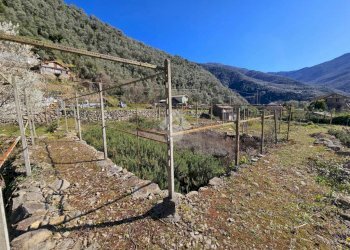Terreno edificabile Strada Oxentina Snc, Badalucco - foto 7