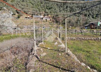 Terreno edificabile Strada Oxentina Snc, Badalucco - foto 10