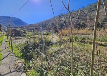 Terreno edificabile Strada Oxentina Snc, Badalucco - foto 9