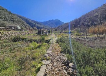Terreno edificabile Strada Oxentina Snc, Badalucco - foto 12