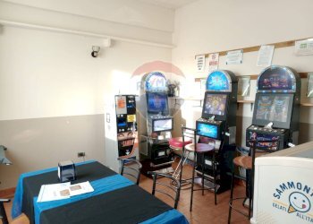 Bar - Tabacchi - Ricevitoria Palosco - foto 6