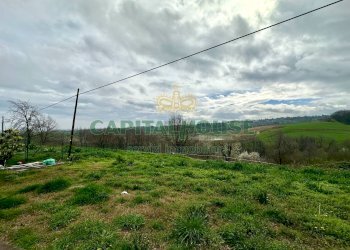 Single Family Villa Castel San Pietro Terme - photo 6