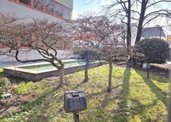 Ufficio Milano (zona Certosa) - foto 13