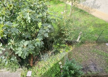 Trilocale Via Comboni, Colledara - foto 7