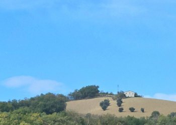 Trilocale Via Comboni, Colledara - foto 8