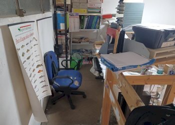 Commercial Premises Ravenna - photo 11