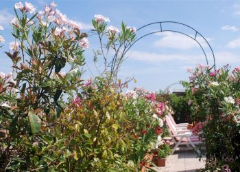 Appartamento Via Mura di Porta Serrata, Ravenna (zona Centro Storico) - foto 11