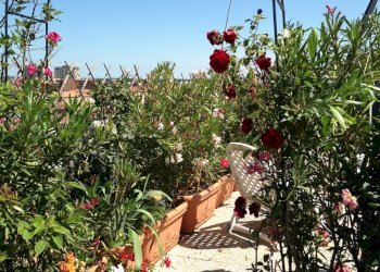 Appartamento Via Mura di Porta Serrata, Ravenna (zona Centro Storico) - foto 26