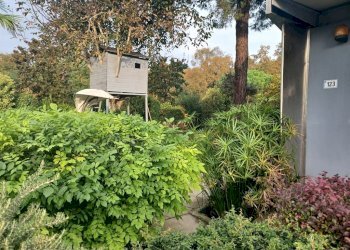 Appartamento Ravenna - foto 6