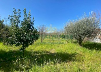 Terreno edificabile Saviano - foto 4