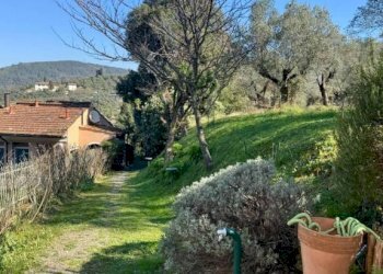 Giardino - Bilocale via Giacomo Matteotti, 2C, Bagno a Ripoli - foto 37