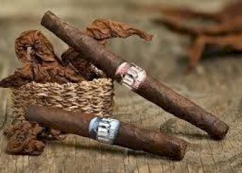 Altro - Bar - Tobacco - Ricevitoria Torino (neighborhood Centro) - photo 5