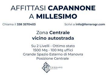 Altro - Capannone Frazione Valzemola, 86, Roccavignale - foto 1