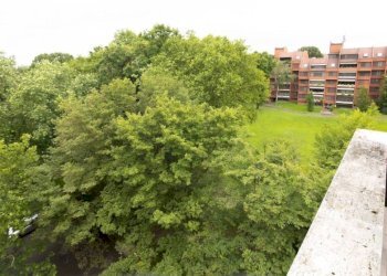 Attic Basiglio - photo 15