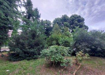 Single Family Villa Molinella - photo 4