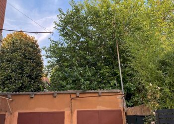 Appartamento Ferrara - foto 57