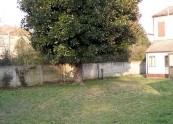 Independent house Riva del Po - photo 6