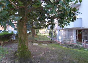 Trilocale Zola Predosa - foto 22