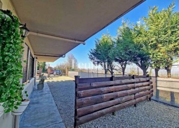 Giardino - Villa strada Pontestura, Casale Monferrato - foto 39