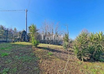 Terreno - Villa strada Pontestura, Casale Monferrato - foto 43
