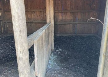 Altro - Rustico via Circonvallazione Mombrisone, Chiusa di Pesio - foto 7