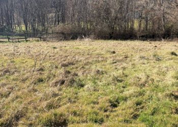 Terreno - Rustico via Circonvallazione Mombrisone, Chiusa di Pesio - foto 10