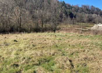 Terreno - Rustico via Circonvallazione Mombrisone, Chiusa di Pesio - foto 12