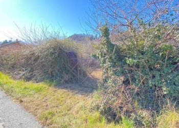 Terreno - Rustico via Circonvallazione Mombrisone, Chiusa di Pesio - foto 24