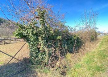 Terreno - Rustico via Circonvallazione Mombrisone, Chiusa di Pesio - foto 25